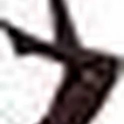 Groothandel 👏 Cette Panty Dublin 60den ⭐ -Beenmode Verkoop 420x840 2