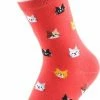 Gloednieuw 😍 GrandSock Rode Sokken Met Katten 🎉 -Beenmode Verkoop 441x840